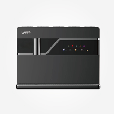 揚(yáng)子牌 YZ-RO-100G(K6)